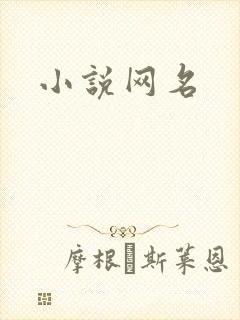 小说网名