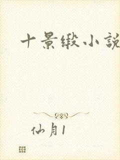 十景缎小说