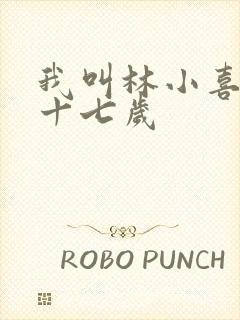 我叫林小喜今年十七岁