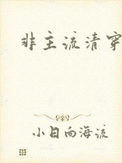 非主流清穿