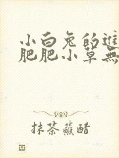 小白兔的进化史肥肥小草无防盗