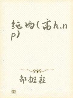 纯肉(高h.np)