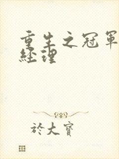 重生之冠军篮球经理封面