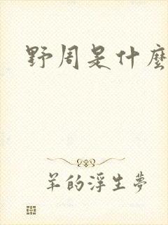 野周是什么意思