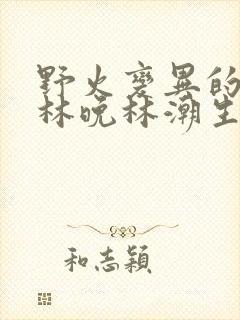 野火变异的父爱林晚林潮生