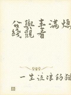 公与丰满熄4在线观看