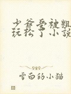 少爷受被粗汉H玩松了小说