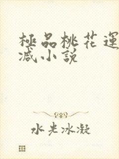 极品桃花运未删减小说