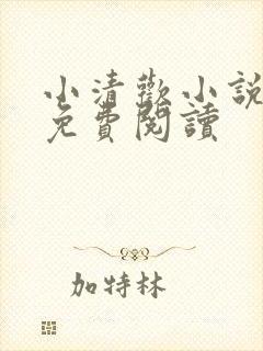 小清欢小说全文免费阅读