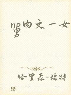 np肉文一女多男