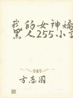我的女神娇妻与黑人255小说