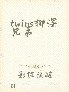 twins柳泽兄弟