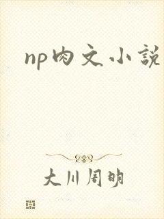 np肉文小说