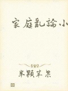 家庭乱论小说