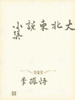 小说东北大炕全集