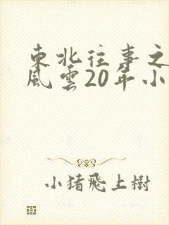 东北往事之黑道风云20年小说