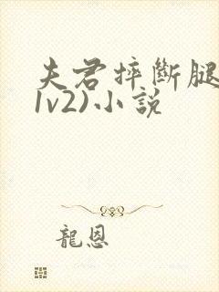 夫君摔断腿后(1v2)小说