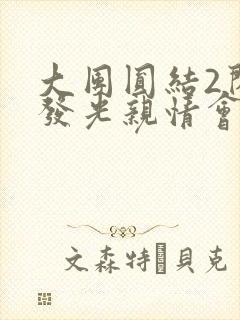 大团圆结2闪闪发光亲情会