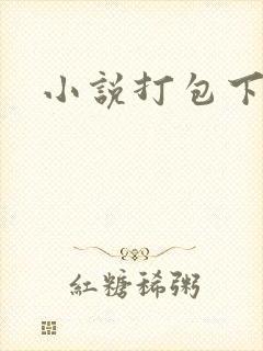 小说打包下载