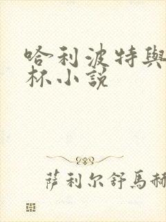 哈利波特与火焰杯小说封面