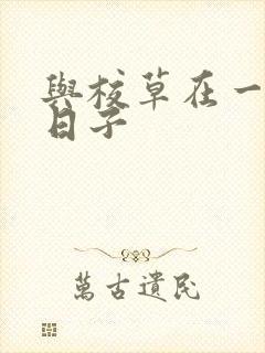 与校草在一起的日子