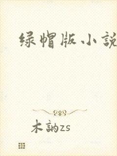 绿帽版小说