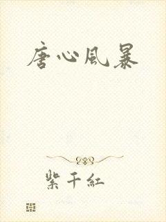 唐心风暴