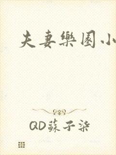 夫妻乐园小说