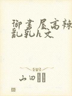御书屋高辣h文乱乳h文