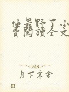 他最野了小说免费阅读全文