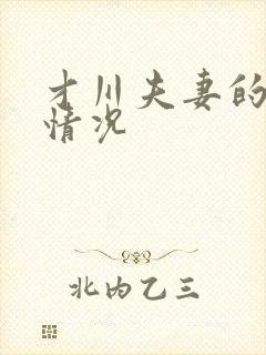 才川夫妻的恋爱情况