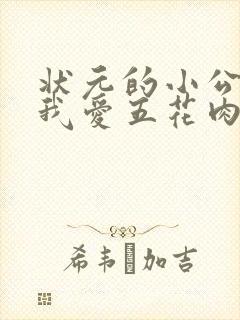 状元的小公主(我爱五花肉)封面