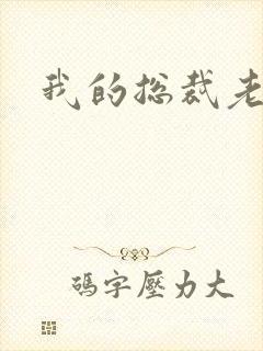 我的总裁老妈封面