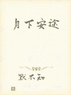 月下安途