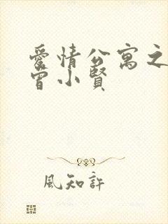 爱情公寓之极品曾小贤