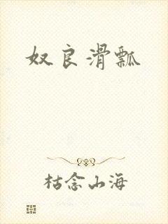 《奴良滑瓢》小说封面