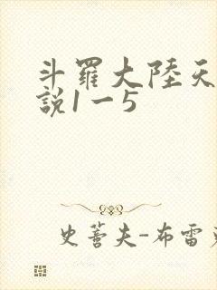 斗罗大陆天狂传说1一5