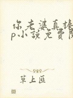 你老婆真棒多cp小说免费阅读