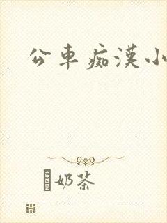 公车痴汉小说