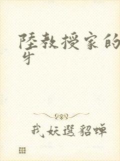 陆教授家的小月牙