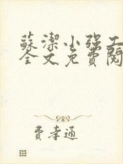 苏洁小强工地情全文免费阅读