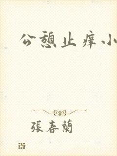 公憩止痒小说