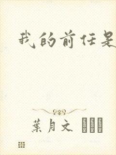 我的前任是极品