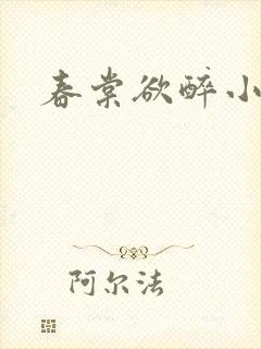 春棠欲醉小说封面