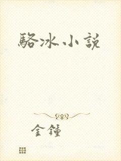 骆冰小说