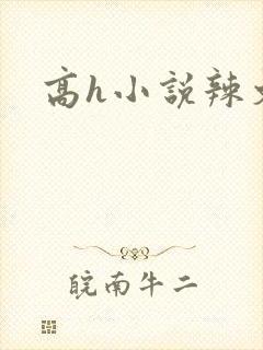 高h小说辣文