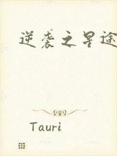 逆袭之星途闪耀