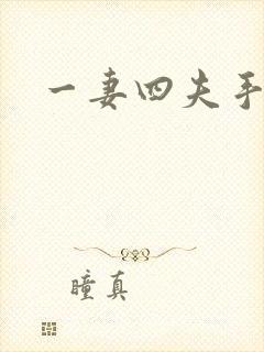 一妻四夫手记