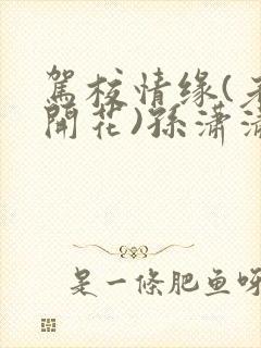 驾校情缘(老树开花)孙潇潇笔趣阁