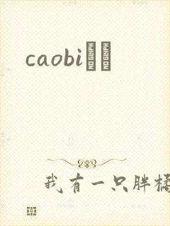 caobiС˵